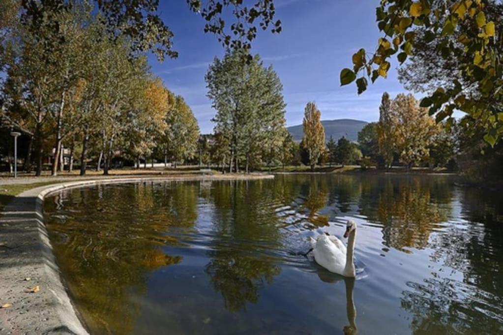 Ideal Parejas - Tranquilidad Y Naturaleza - Vistas Al Lago Осежа Экстерьер фото